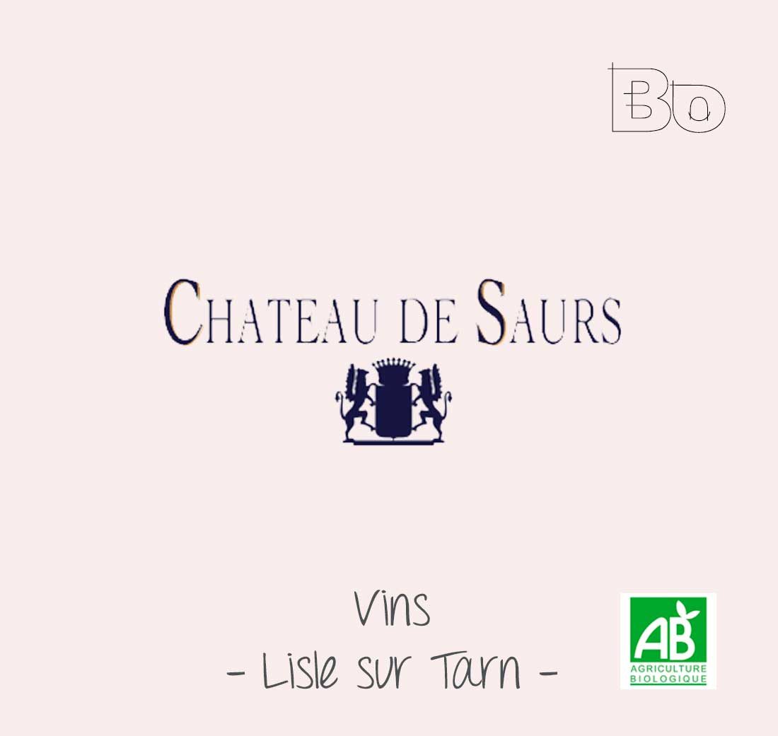 chateau de saurs