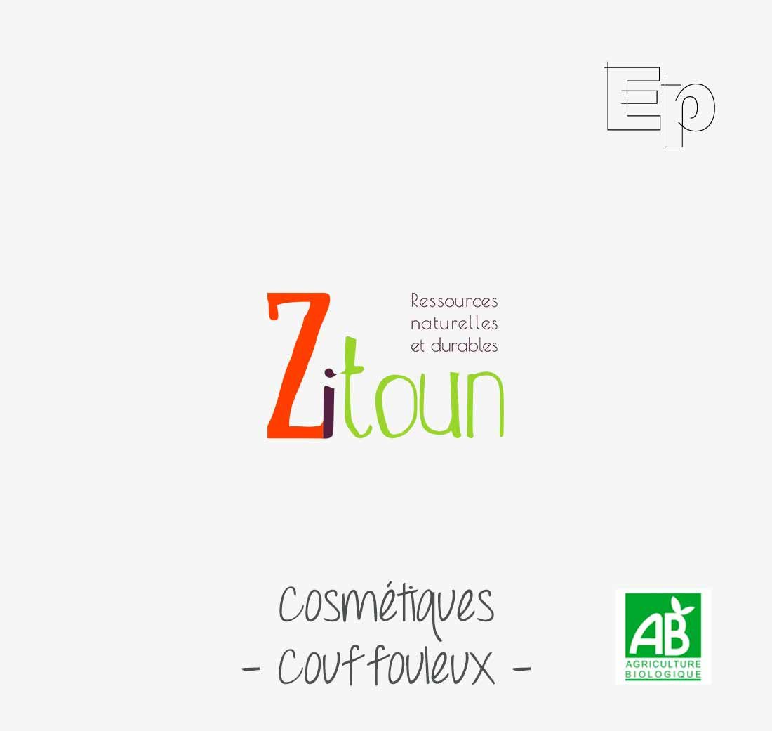 logo zitoun