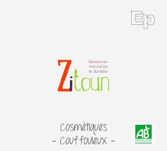 logo zitoun