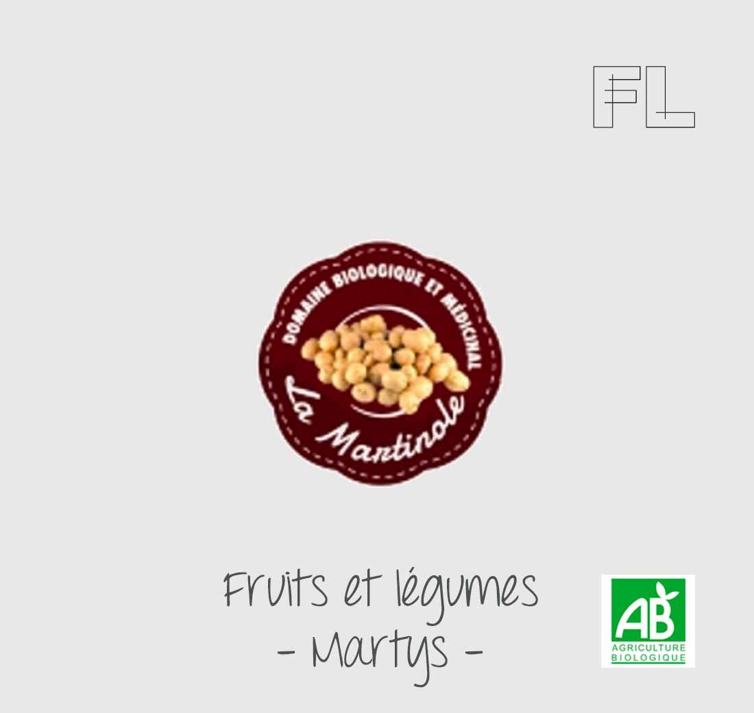logo martinole