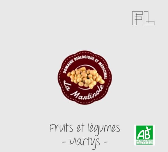 logo martinole