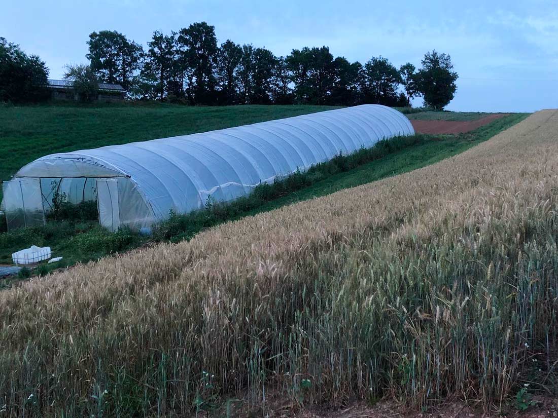 lieu de culture du tarn maraicher