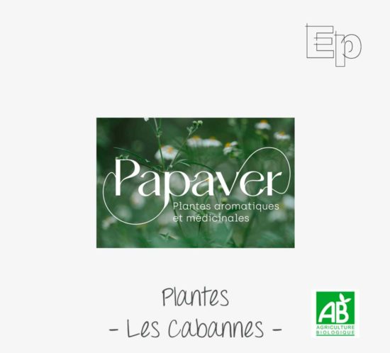 logo papaver