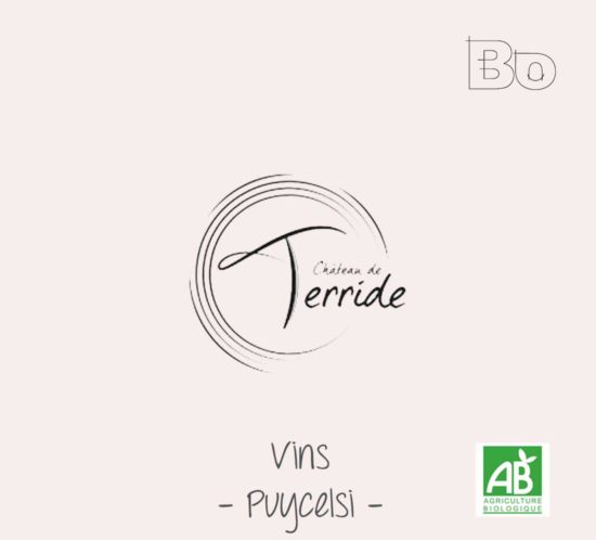 logo chateau terride