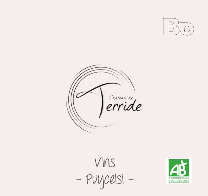 logo chateau terride