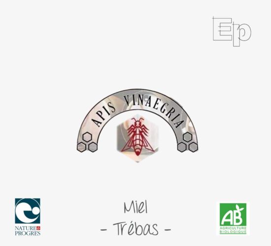 logo apis-vinaegria tarn