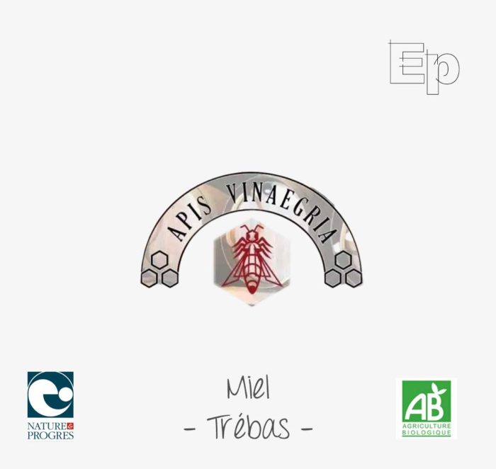 logo apis-vinaegria tarn